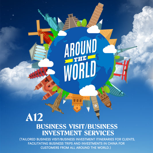 A12 Business Visit/Business Investment Services